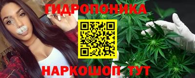 молекула духа Ливны